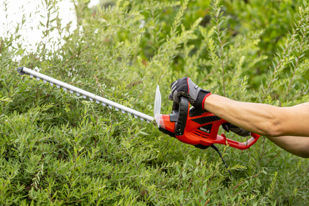 ELEKTRYCZNE NOŻYCE DO ŻYWOPŁOTU 600W