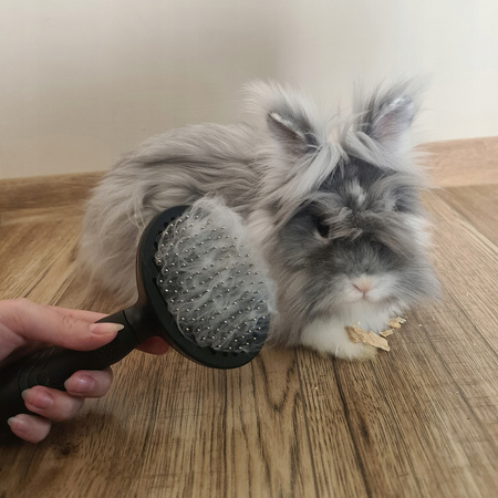 SZCZOTKA SAMOCZYSZCZĄCA DO SIERŚCI