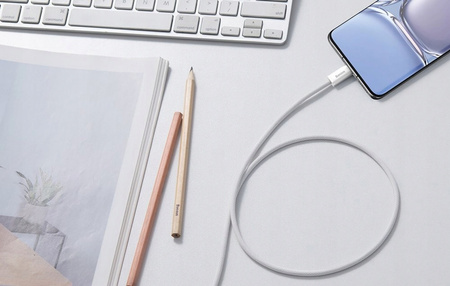 BASEUS MOCNY KABEL USB-C SZYBKIE ŁADOWANIE PRZEWÓD TYP-C PD 100W QC 5A 2M