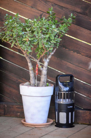 LAMPA OWADOBÓJCZA Z WENTYLATOREM, UV-A 5W LUND 67012