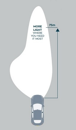 ŻARÓWKI ELTA VISION PRO HB4 12V 51W BLUE