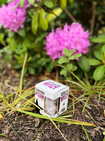 Odstraszacz Kunagone przeciwko myszom 2 szt.