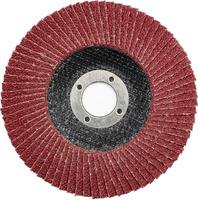 Ściernica listkowa talerzowa gradacja 80 fi 125 mm